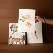 Art Print Set - Who Lives with the Asian Elephant