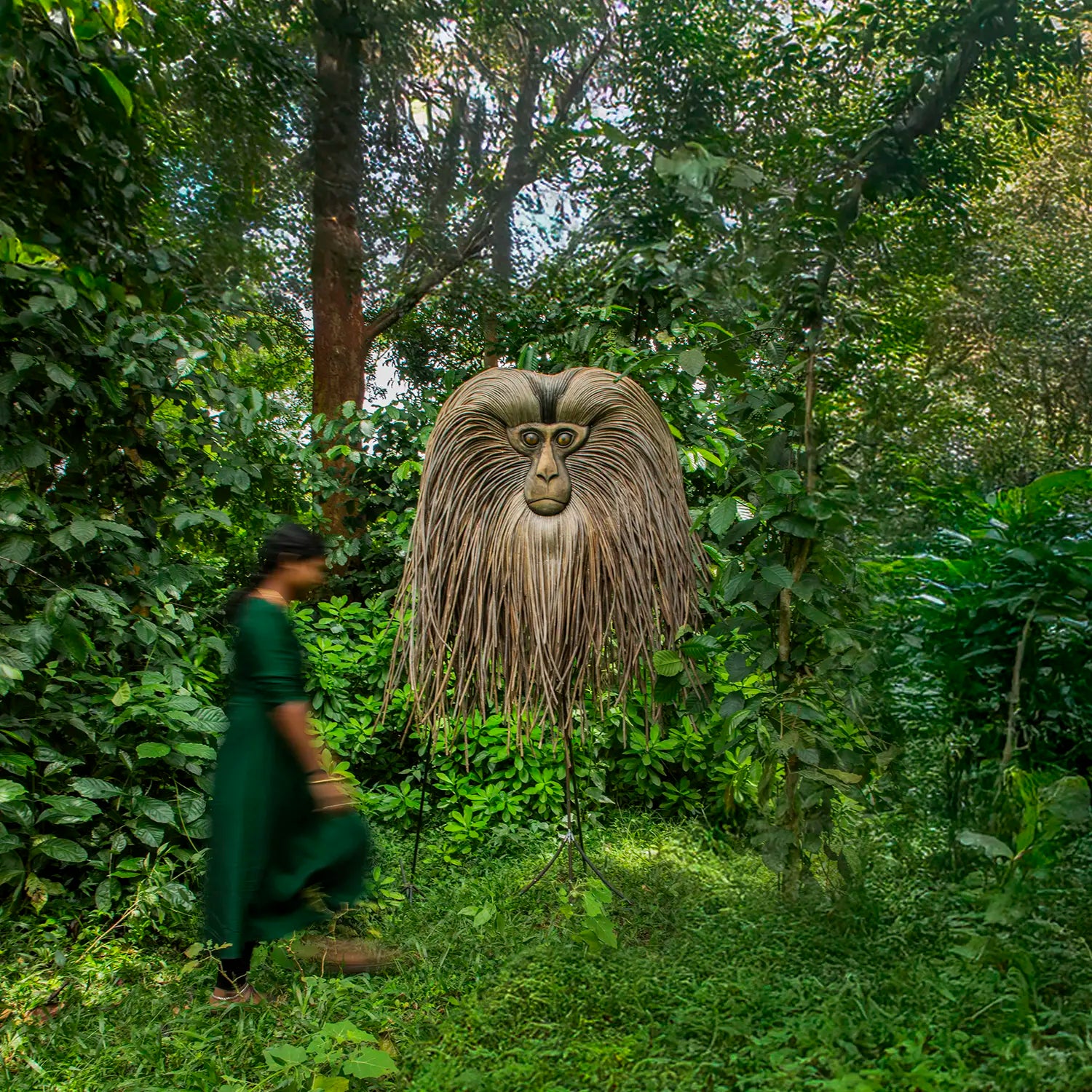 Lion Tailed Macaque - Statement Peice