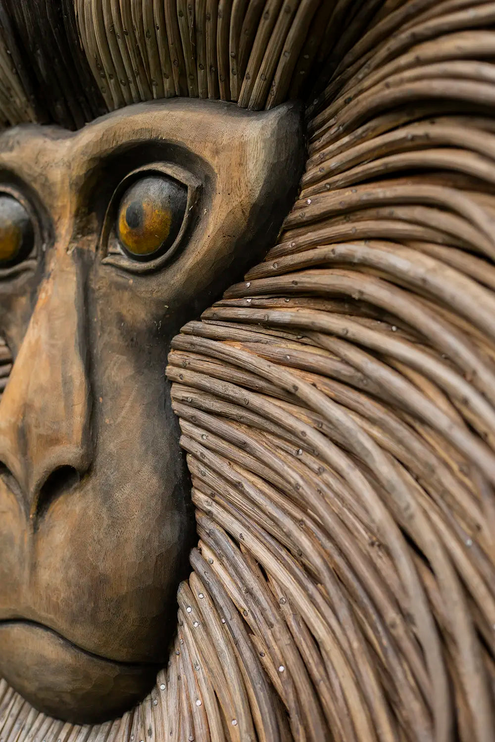 Lion Tailed Macaque - Statement Peice