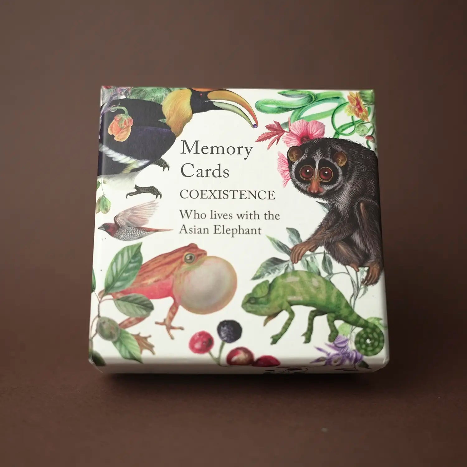 Who Lives with the Asian Elephant Memory Cards Game for Children