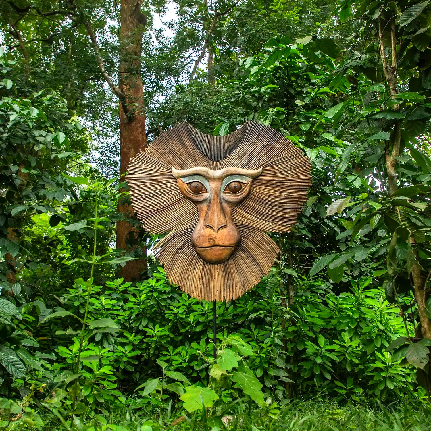 Northern Pig Tailed - Statement Peice