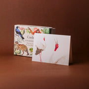 Who Lives with the Asian Elephant Postcard Set