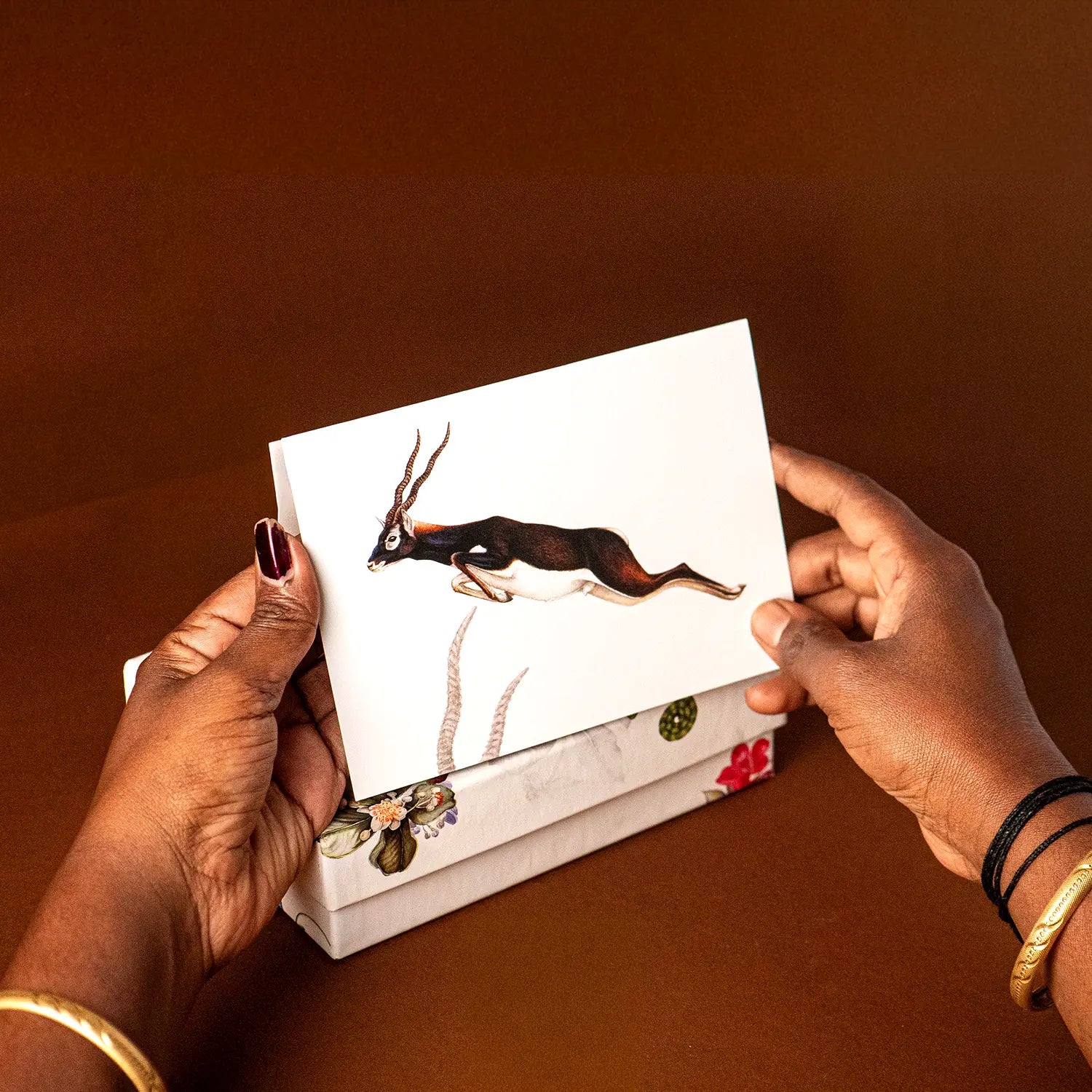 Who Lives with the Asian Elephant Postcard Set