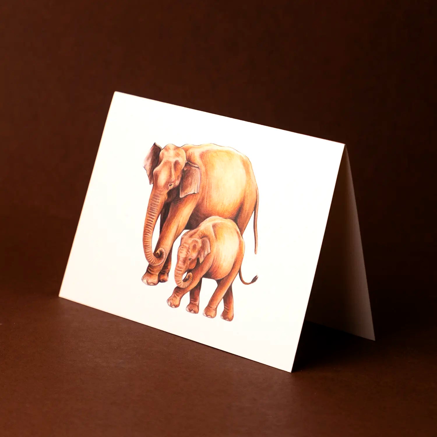 Who Lives with the Asian Elephant Postcard Set