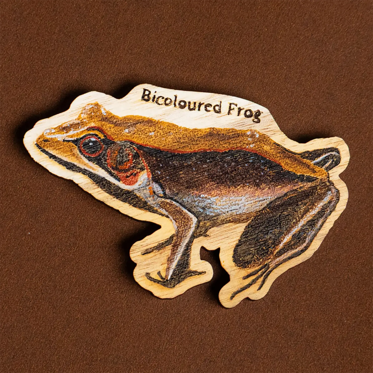 Bi-coloured Frog Wooden Magnet