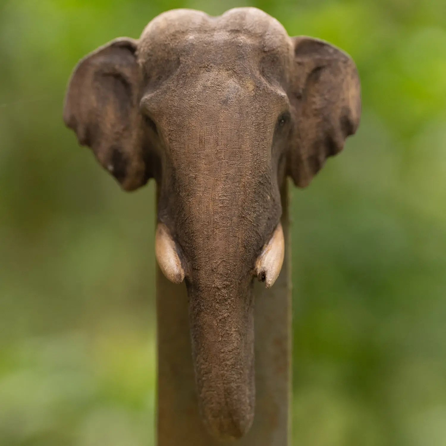 Shankar - Carved Elephant Head Portrait